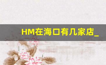 HM在海口有几家店_海口百货大楼 商场概况